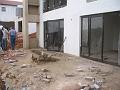 EV15Mar0843