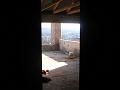 EV08Jan0831